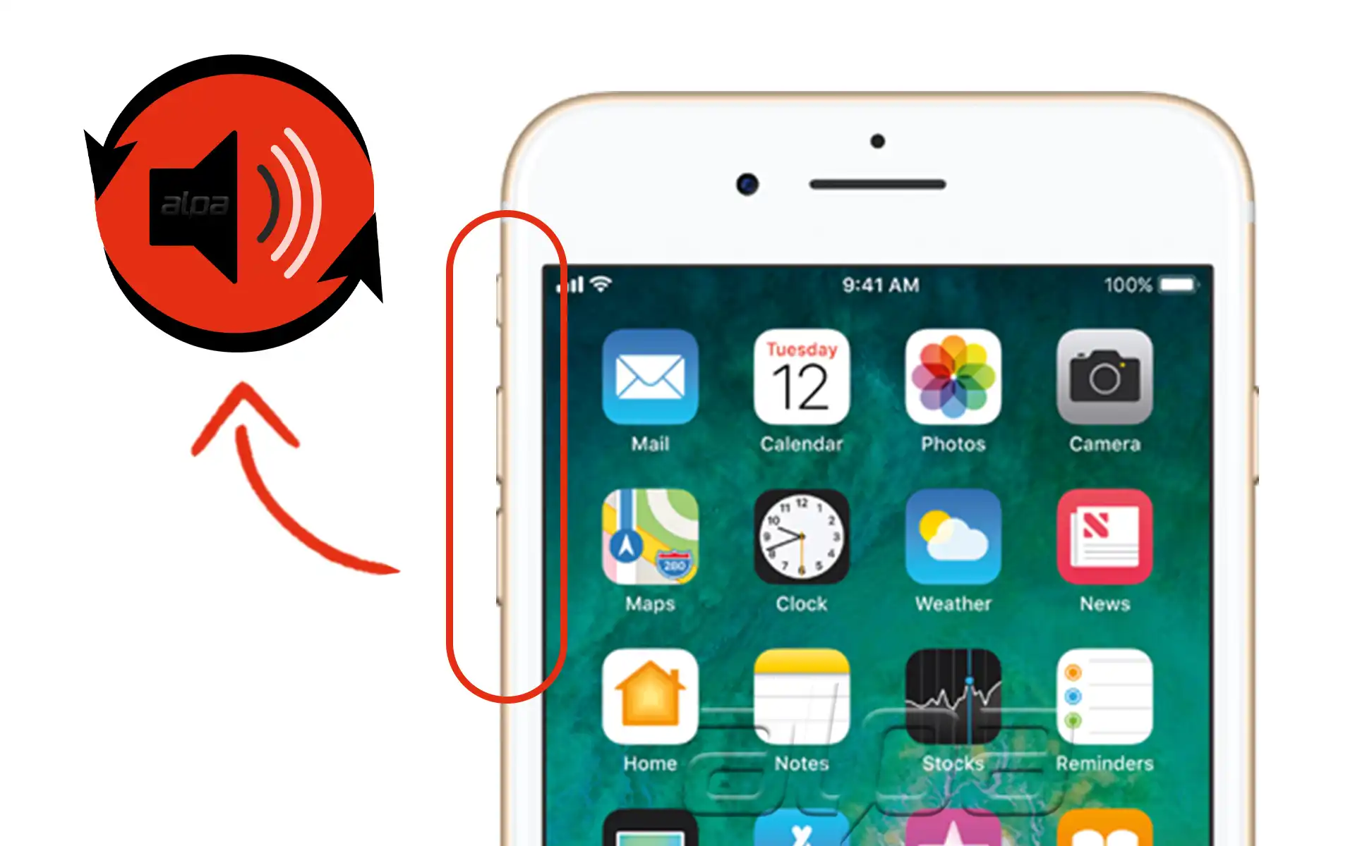 iPhone 6s Plus Ses Tuşu Değişimi Fiyatı