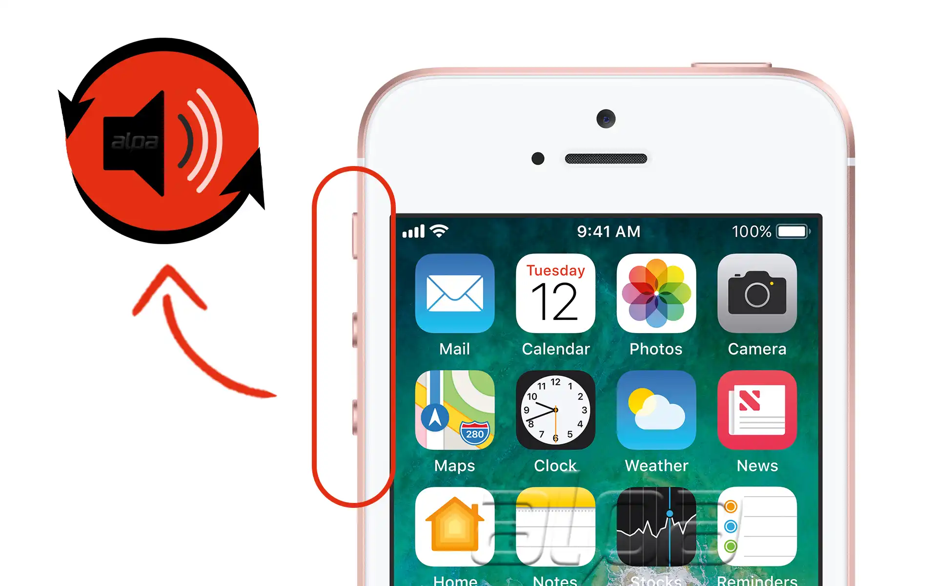 iPhone SE (2016) Ses Tuşu Değişimi Fiyatı