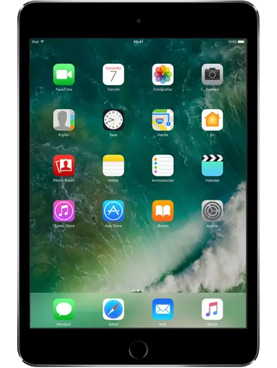 iPad mini 4